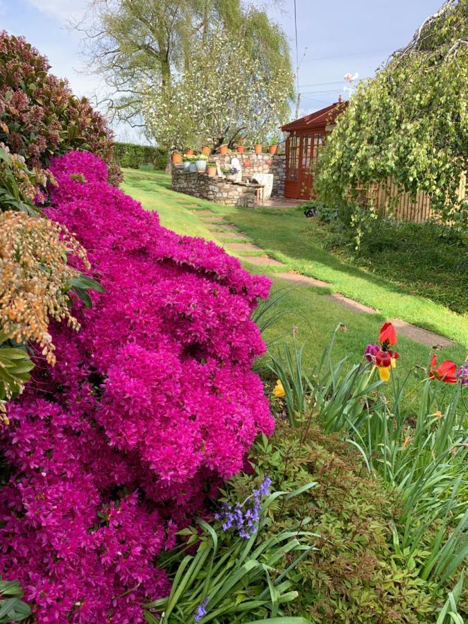 Llanwenarth Cottage A Beautiful Place To Just Be. Abergavenny Exterior photo