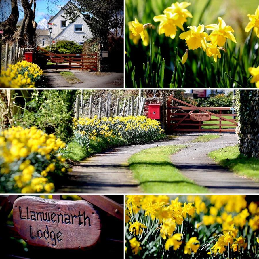 Llanwenarth Cottage A Beautiful Place To Just Be. Abergavenny Exterior photo